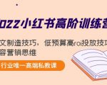 2022小红书高阶训练营：爆文制造技巧，低预算高roi投放技巧，内容营销思维| 鹿鸣网创