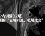 新媒体IP内训营(12期)，一套全新的“公域引流，私域成交”IP打法，直接带走| 鹿鸣网创