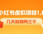 《小红书虚拟项目1.0》账号注册+养号+视频制作+引流+变现，几天就赚两三千| 鹿鸣网创