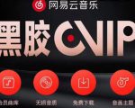 网易云音乐撸黑胶年卡及变现方法,收益可无限放大| 鹿鸣网创
