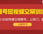 视频号短视频文案训练营：0基础小白如何建立视频号，上热门，能卖货！| 鹿鸣网创