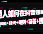 普通人如何在抖音赚到钱:策略 路线 规则 突破 赚钱(10节课)| 鹿鸣网创
