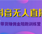 抖音无人直播带货赚佣金陪跑训练营（价值6980元）| 鹿鸣网创