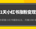 21天小红书涨粉变现营（第4期）：带你掌握小红书爆款玩法，月赚10W+秘密| 鹿鸣网创