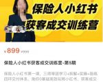 保险人小红书获客成交训练营,0基础高效玩转小红书,可复制的获客成交之路| 鹿鸣网创
