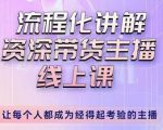 婉婉-主播拉新实操课,流程化讲解资深带货主播,让每个人都成为经得起考验的主播| 鹿鸣网创