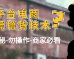 外面收费2980的全平台电商白嫖撸货技术（仅揭秘勿操作-商家防范必看）| 鹿鸣网创