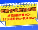 21天视频号变现特训营:单视频播放量2亿+3个月涨粉30w+变现20w+(第14期)| 鹿鸣网创