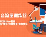 美业抖音流量训练营:从0到10w+粉丝 让你的门店用户增长+业绩增长+利润增长| 鹿鸣网创