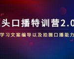 镜头口播特训营2.0版,学习文案编导以及拍摄口播能力(50节课时)| 鹿鸣网创