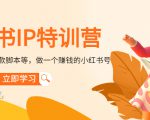 小红书IP特训营：从搭建-制作-爆款脚本等等，做一个赚钱的小红书号| 鹿鸣网创