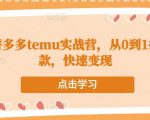 跨境拼多多temu实战营，从0到1打造爆款，快速变现| 鹿鸣网创