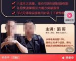 最新淘系引力魔方低价引流课程，小成本大流量，低价引流快速拉新收割| 鹿鸣网创