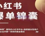 小红书爆单锦囊,自带种草属性+高质量女性用户,为你的企业开辟一条新的掘金路径| 鹿鸣网创