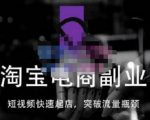 蓝Sir派·淘宝短视频快速起店，替代传统搜索方式，学会做一个不一样的淘宝店| 鹿鸣网创