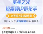 瑶瑶·自然流短视频IP孵化第二期，14天线上实战训练营，赋能100个人成为有数据能赚钱的独立IP孵化手| 鹿鸣网创