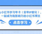 厦九九小红书学习年卡(全年IP孵化),沉浸式学习,一起成为有影响力的小红书博主| 鹿鸣网创