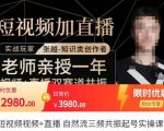 张越·短视频+直播，自然流三频共振起号实操课，​短视频所有流量玩法讲解| 鹿鸣网创