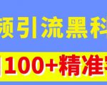 视频引流黑科技玩法，不花钱推广，视频播放量达到100万+，每日100+精准客源| 鹿鸣网创