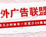 外面收费1980的最新国外LEAD广告联盟搬砖项目，单号一天至少30美金【详细玩法教程】| 鹿鸣网创