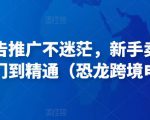 亚马逊广告推广不迷茫，新手卖家产品运营入门到精通（恐龙跨境电商）| 鹿鸣网创