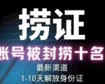 2023年最新抖音八大技术，一证多实名，秒注销，断抖破投流，永久捞证，钱包注销，跳人脸识别，蓝V多实| 鹿鸣网创