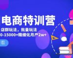 美团电商特训营：美团·店群玩法，无脑铺货月产出6000-15000+精细化月产2w+| 鹿鸣网创