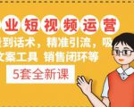 5套·美业短视频运营课从场景到话术·精准引流·吸金文案工具·销售闭环等| 鹿鸣网创