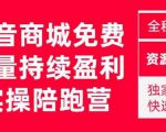 抖音商城搜索持续盈利陪跑成长营，抖音商城搜索从0-1、从1到10的全面解决方案| 鹿鸣网创