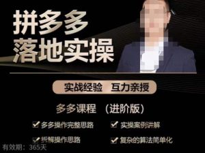 拼多多实战篇·落地实操：多多操作完整思路+实操案例讲解+拆解操作思路+复杂的算法简单化| 鹿鸣网创