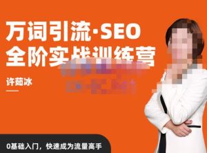 许茹冰·万词引流-SEO全阶实战训练营，0基础入门，快速成为流量高手| 鹿鸣网创
