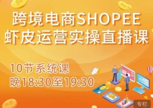 跨境电商Shopee虾皮运营实操直播课，从零开始学，入门到精通（10节系统课）| 鹿鸣网创