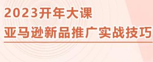 2023亚马逊新品推广实战技巧，线下百万美金课程的精简版，简单粗暴可复制，实操性强的推广手段| 鹿鸣网创