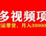 多多带货视频快速50爆款拿带货资格，搬运带货，月入30000【全套脚本+详细玩法】| 鹿鸣网创