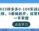 2023拼多多0-100实战运营教程,0基础起步,运营知识一手掌握| 鹿鸣网创