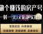 刘广标·同城房产号线上陪跑课,拍摄、剪辑、写文案、直播,做一个具有潜力价值的房产号| 鹿鸣网创