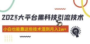 大平台黑科技引流技术，小白也能靠这些技术混到月入1w+(2022年的课程）| 鹿鸣网创