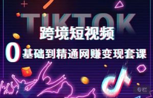 跨境短视频TIKTOK 0基础到精通网赚变现套课,跨境短视频独立站带货变现技巧| 鹿鸣网创