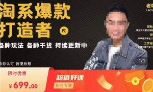 锋投老叶全店动销,淘系干货汇总,各种玩法,淘系爆款打造者| 鹿鸣网创