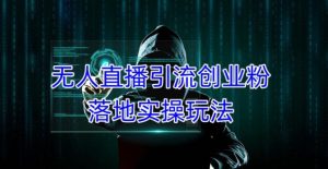 外面收费3980的无人直播引流创业粉落地实操玩法，单日引100+精准创业粉| 鹿鸣网创