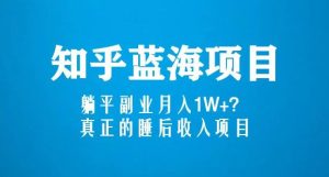 知乎蓝海玩法，躺平副业月入1W+，真正的睡后收入项目（6节视频课）| 鹿鸣网创