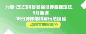 大炮·2023拼多多强付费最新玩法，3月新课​78分钟详细讲解玩法流程| 鹿鸣网创