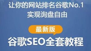 谷歌SEO实战教程：如何让你的网站在谷歌排名第一，内容从入门到高阶，适合个人及团队| 鹿鸣网创