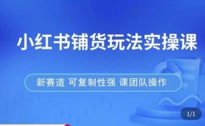 小红书铺货玩法实操课，流量大，竞争小，非常好做，新赛道，可复制性强，可团队操作| 鹿鸣网创