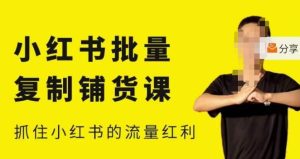 张宾·小红书批量复制铺货课,小红书0-1快速起号变现玩法,抓住小红书的流量红利(更新2023年3月)| 鹿鸣网创