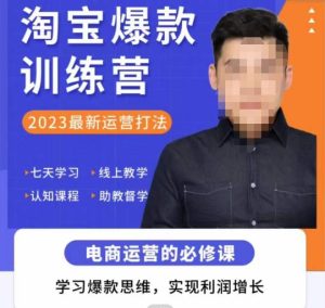 爱上黄昏·淘宝爆款训练营，2023最新运营打法，学习爆款思维，实现利润增长| 鹿鸣网创
