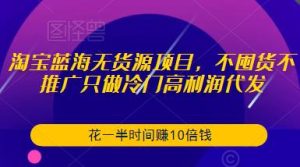 淘宝蓝海无货源项目,不囤货不推广只做冷门高利润代发,花一半时间赚10倍钱| 鹿鸣网创