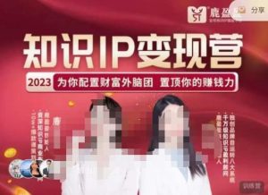 鹿盈盈-知识IP变现实操营,普通人可复制的知识产品落地实操课,带你打通知识IP变现底层逻辑| 鹿鸣网创