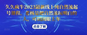 久久疯牛2023最新线上纯自然流起号课程，老杨是把自然流玩明白的人，可以闭眼上车| 鹿鸣网创