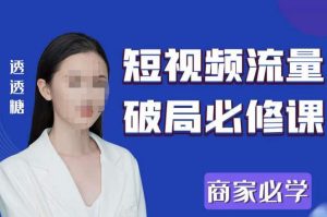 2023最新透糖短视频流量破局必修课——商家必学| 鹿鸣网创